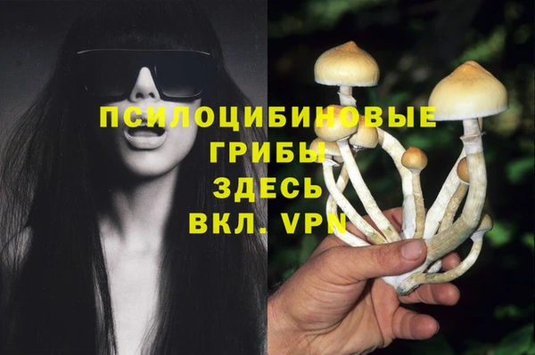 mdpv Балахна
