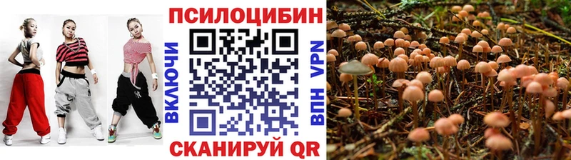 Галлюциногенные грибы ЛСД  shop как зайти  Рассказово 
